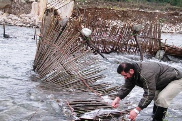 سدهای غیرمجاز ماهیگیری در رودخانه های آستارا تخریب شد