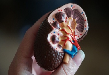 چه بیماری‌هایی بر کلیه اثر می‌گذارد؟
