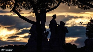 منتخب تصاویر امروز جهان- 15 آبان 1400