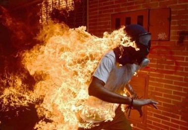 انتخاب برترین عکس سال وردپرس 2018 
