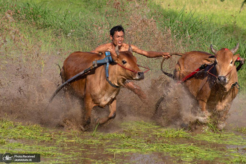 منتخب تصاویر امروز جهان- 26 اردیبهشت 1400