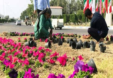 شهر ایلام با غرس 10 هزار شاخه گل نوروز 98 تزیین می شود