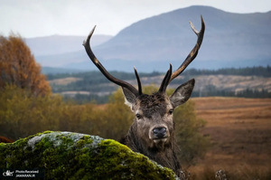 منتخب تصاویر امروز جهان - 7 آبان 1401