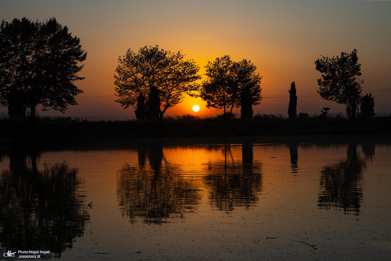 پرورش ماهی در آزادشهر استان گلستان