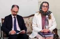 دیدار سفیر ایتالیا با لاریجانی (2)