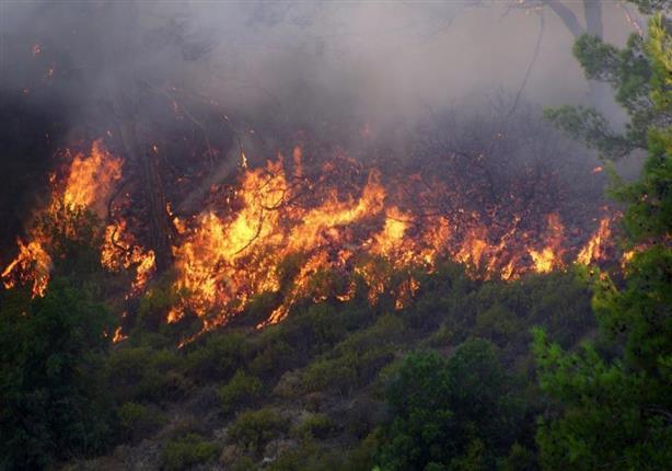 هشدار نسبت به بروز مجدد آتش سوزی در جنگل‌های ارسباران