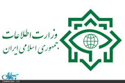 وزارت اطلاعات: ادعای اختلاس و ارتشاء در فرآیند توزیع نهاده‌های دامی صحت ندارد