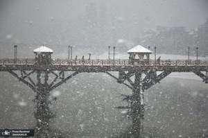 منتخب تصاویر امروز جهان- 16 دی