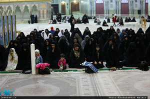 دیدار اعضای انجمن مردم نهاد «شهر من کرج» با سید حسن خمینی