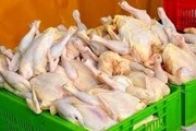 خرید تضمینی ۱۰۰ تن گوشت مرغ در البرز