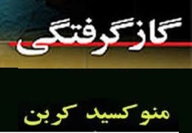 16نفر از اهالی روستاهای تاکستان دچار مسمومیت  با منوکسید کربن شدند