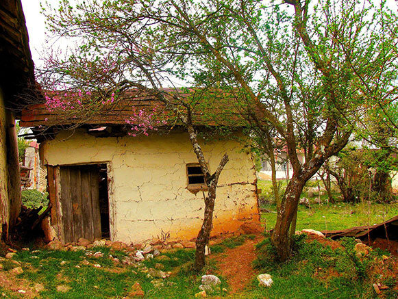 پاشاکلا، روستایی در دل طبیعت ساری