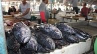 ساعتی پرسه در بازار بزرگ ماهی پایتخت