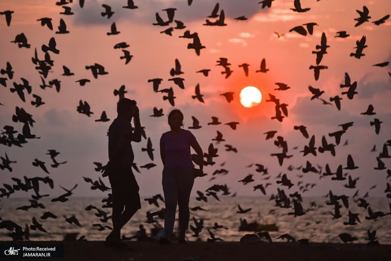 منتخب تصاویر امروز جهان - 27 اسفند 1401