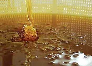 عسل فروش متقلب به 290 میلیارد ریال جریمه محکوم شد