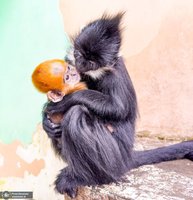 منتخب تصاویر امروز جهان - 13 دی 1401