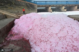 منتخب تصاویر امروز جهان - 2 فروردین 1402