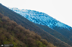 روستای سفیدآب پاوه