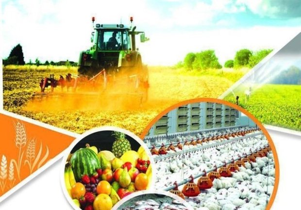 بانک کشاورزی 450 هزار میلیارد تومان تسهیلات پرداخت کرد