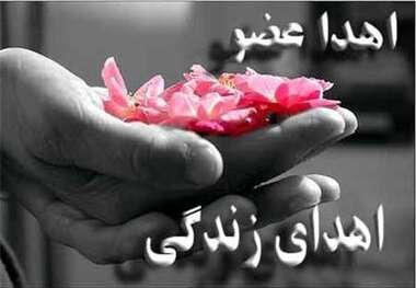 مرد میانسال بهاری نخستین اهدا کننده پیوند اعضا همدان در سال جاری
