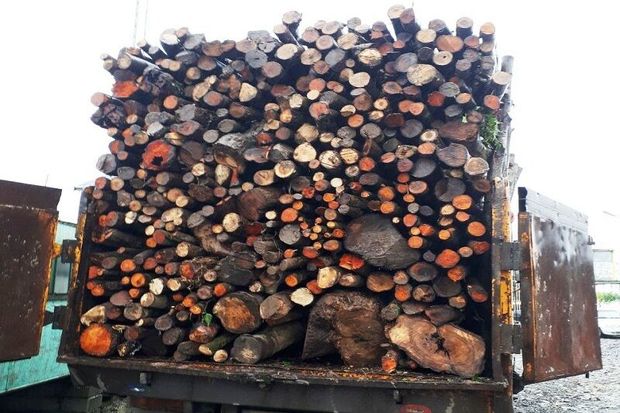 چوب‌آلات جنگلی قاچاق در آستارا توقیف شد
