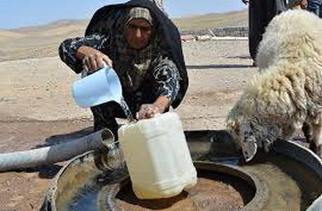 20  درصد عشایر گچساران کوچ نکردند  بحران در زندگی عشایری در صورت ادامه خشکسالی