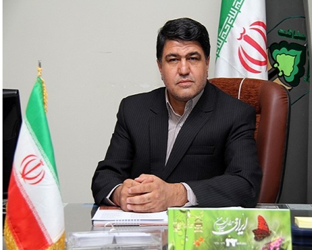 200 هزار هکتار بیابانزدایی در کرمان انجام شده است