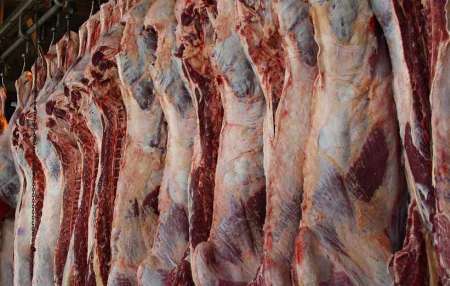 یک مسئول استانی: افزایش هرگونه قیمت گوشت قرمز در خراسان شمالی غیرقانونی است