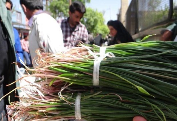 هنگام برداشت گیاهان بهاری مراقب ریشه و پیاز آن باشیم