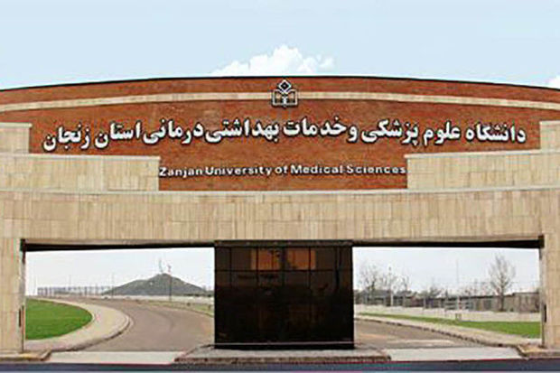 نسبت استاد و دانشیار در دانشگاه پزشکی زنجان از میانگین کشوری بالاتر است