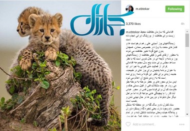 اقدامات سازمان حفاظت محیط زیست برای حفاظت از یوزپلنگ ایرانی 