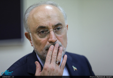 علی اکبر صالحی: آیت الله العظمی صافی گلپایگانی وظیفه دینی و ملّی خود را به احسن وجه به انجام رساند