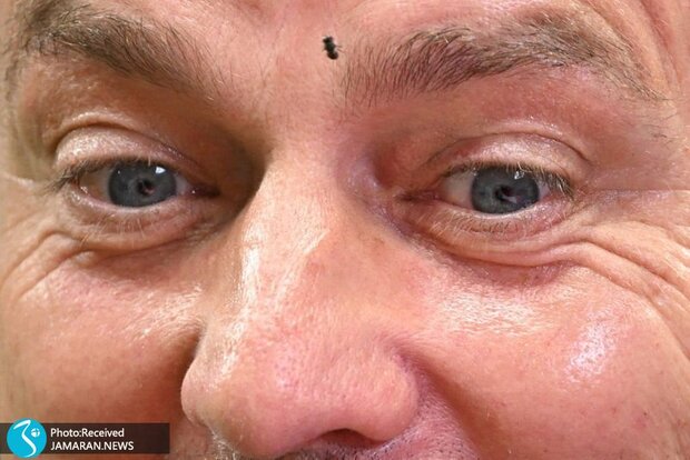 رسمی| فلیک اخراج شد؛ فولر روی نیمکت نشست