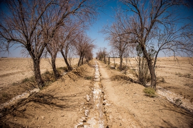 کاهش 97درصدی بارندگی درقم احتمال وقوع خشکسالی زیاد است