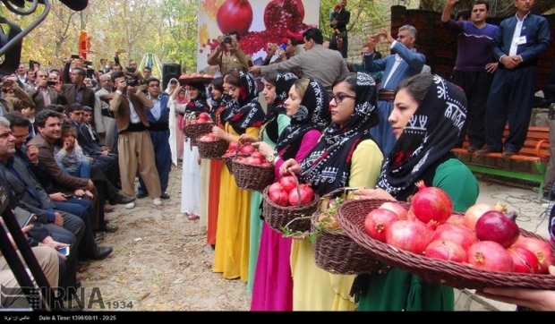 جشنواره انار منطقه اورامانات ظرفیت بزرگ گردشگری درغرب کشور- فرزاد نویدی**