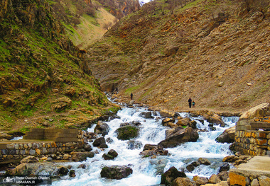 چشمه خروشان روستای سفیدآب پاوه