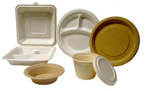 جایگزینی ظروف یک بار مصرف گیاهی با ظروف پلاستیکی در اصناف