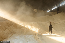 شوق شیرین تولید شکر