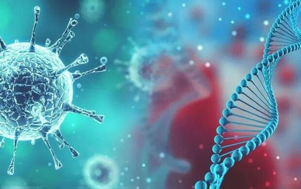 ابتلای 223 دانش آموز هرمزگانی به کرونا