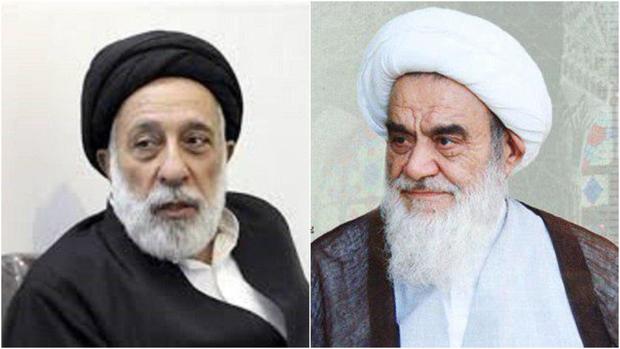 دیدار سید هادی خامنه ای با آیت الله مظاهری