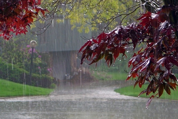 بارش پراکنده باران از فردا در مازندران
