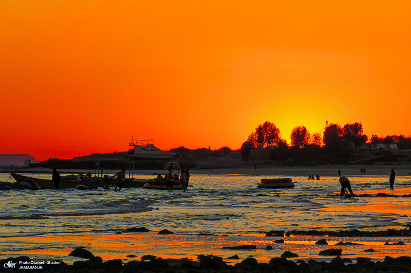 پارک زیتون قشم