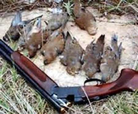 کشف لاشه 25 قطعه پرنده و دستگیری یک قاچاقچی در رودبار جنوب
