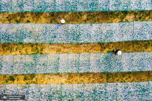 منتخب تصاویر امروز جهان- 8  آبان