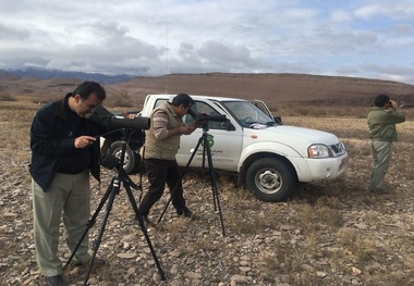 سرشماری زمستانی پرندگان در منابع آبی مهاباد آغاز شد