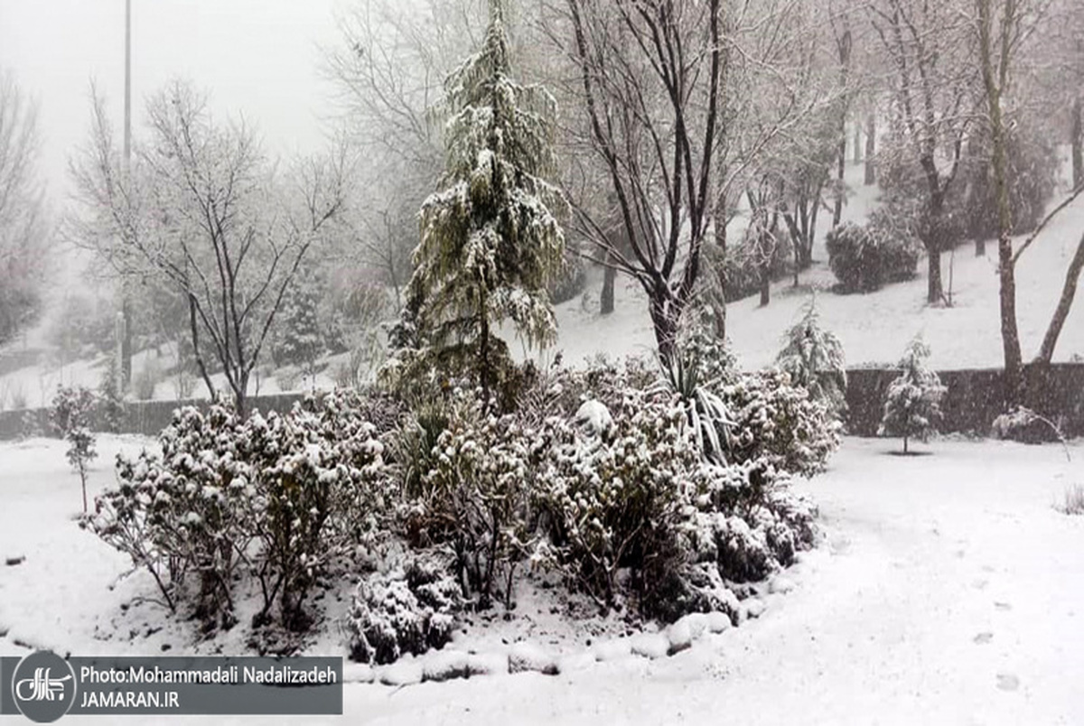 بارش برف در برخی مناطق ایران
