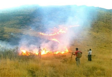 15 هکتار از مراتع روستای لگاهی زنجان طعمه آتش شد