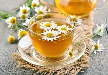 خواص و مضرات چای بابونه