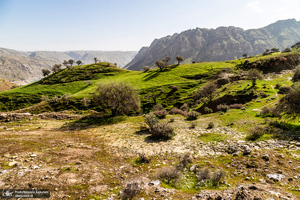 طبیعت بکر و زیبای«کفشکنان»