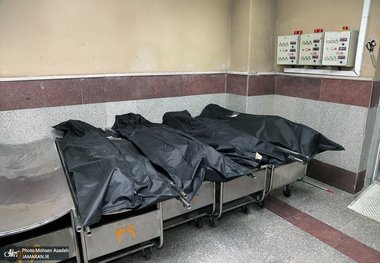 آیا پیکر مبتلایان به کرونا ناقل ویروس است؟